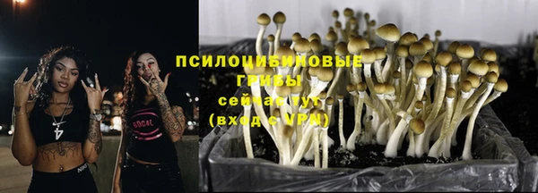 трава Нефтекумск