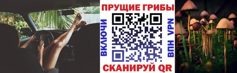 Псилоцибиновые грибы прущие грибы  Пыталово 